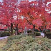 ヒメ日記 2025/11/23 10:00 投稿 さりな 新大阪秘密倶楽部