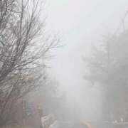 ヒメ日記 2026/02/11 13:00 投稿 さりな 新大阪秘密倶楽部