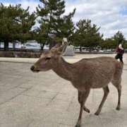 ヒメ日記 2026/03/05 14:45 投稿 さりな 新大阪秘密倶楽部