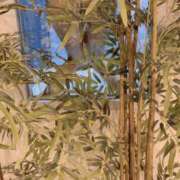 ヒメ日記 2026/03/09 09:35 投稿 さりな 新大阪秘密倶楽部