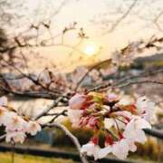 ヒメ日記 2026/03/28 18:25 投稿 さりな 新大阪秘密倶楽部