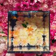 ヒメ日記 2026/04/11 20:00 投稿 さりな 新大阪秘密倶楽部