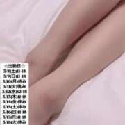 ヒメ日記 2025/03/07 18:48 投稿 せな 俺のKissリフレ