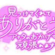 ヒメ日記 2023/11/14 06:00 投稿 こまき 五反田サンキュー