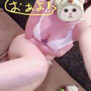 めい お花見😩 Sakura Spa