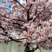 ヒメ日記 2025/03/10 17:55 投稿 もも 素人妻御奉仕倶楽部Hip's取手店