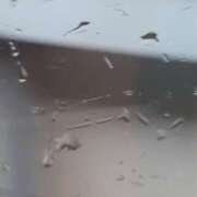 ヒメ日記 2025/03/19 08:55 投稿 もも 素人妻御奉仕倶楽部Hip's取手店