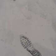 ヒメ日記 2026/02/10 08:21 投稿 もも 素人妻御奉仕倶楽部Hip's取手店