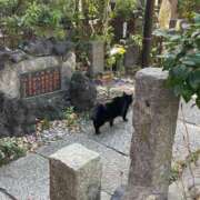 ヒメ日記 2025/02/22 22:10 投稿 かおる（ダーリング） Yシャツと私