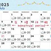 ヒメ日記 2025/06/20 13:10 投稿 かおる（ダーリング） Yシャツと私