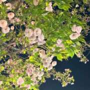 ヒメ日記 2026/04/02 21:45 投稿 黒木ユナ（ダーリング） Yシャツと私