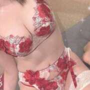 ヒメ日記 2025/07/28 11:05 投稿 しおり コルドンブルー