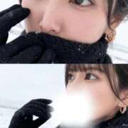 ヒメ日記 2025/11/06 10:54 投稿 しおり コルドンブルー