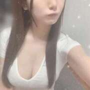 ヒメ日記 2025/11/18 10:45 投稿 しおり コルドンブルー