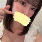 ヒメ日記 2025/11/25 10:45 投稿 しおり コルドンブルー