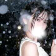 ヒメ日記 2026/03/05 13:05 投稿 しおり コルドンブルー