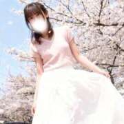 ヒメ日記 2026/04/02 11:05 投稿 しおり コルドンブルー