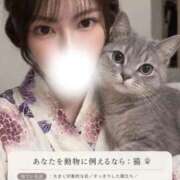ヒメ日記 2026/09/25 13:15 投稿 しおり コルドンブルー