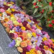 ヒメ日記 2025/03/07 16:26 投稿 ティナ マリン千姫