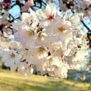 ヒメ日記 2025/04/10 12:08 投稿 ティナ マリン千姫