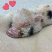 ヒメ日記 2025/07/02 11:56 投稿 ティナ マリン千姫