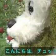 ヒメ日記 2025/11/04 21:22 投稿 ティナ マリン千姫