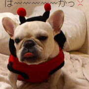 ヒメ日記 2024/12/18 11:06 投稿 かずき★ レースクィーン