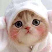 ヒメ日記 2024/12/29 03:30 投稿 かずき★ レースクィーン