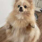 ヒメ日記 2025/04/03 09:29 投稿 かずき★ レースクィーン