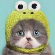 ヒメ日記 2025/04/11 08:24 投稿 かずき★ レースクィーン