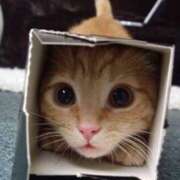 ヒメ日記 2025/08/22 07:50 投稿 かずき★ レースクィーン