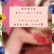 ヒメ日記 2025/02/23 11:04 投稿 立花　ちはる(エロ可愛さの融合) リラクゼーションサロン　le Cocon～ルココン～