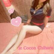 ヒメ日記 2025/03/29 13:48 投稿 立花　ちはる(エロ可愛さの融合) リラクゼーションサロン　le Cocon～ルココン～