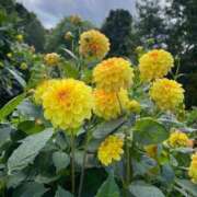 ヒメ日記 2025/10/28 13:34 投稿 立花　ちはる(エロ可愛さの融合) リラクゼーションサロン　le Cocon～ルココン～