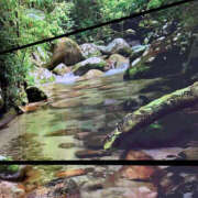 ヒメ日記 2025/05/31 22:00 投稿 まよ クリカリ 大阪店