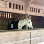 ヒメ日記 2026/01/31 12:45 投稿 まよ クリカリ 大阪店