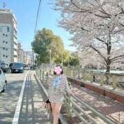 ヒメ日記 2025/04/06 16:20 投稿 るいす クリカリ 大阪店