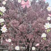 ヒメ日記 2026/03/30 07:10 投稿 るいす クリカリ 大阪店