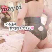 ヒメ日記 2023/08/21 14:30 投稿 MAYOI Big Tits(ビッグティッツ)