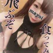 ヒメ日記 2024/04/12 16:14 投稿 MAYOI Big Tits(ビッグティッツ)