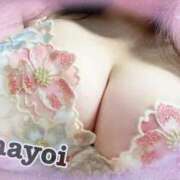 ヒメ日記 2024/07/14 02:14 投稿 MAYOI Big Tits(ビッグティッツ)