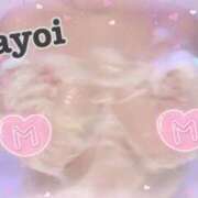 ヒメ日記 2025/03/20 17:09 投稿 MAYOI Big Tits(ビッグティッツ)
