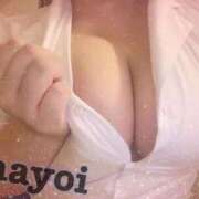 ヒメ日記 2026/05/19 17:48 投稿 MAYOI Big Tits(ビッグティッツ)