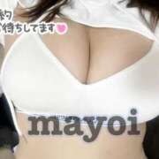 ヒメ日記 2026/07/25 08:28 投稿 MAYOI Big Tits(ビッグティッツ)