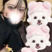 ヒメ日記 2025/11/11 16:36 投稿 かほ SAPPORO ばつぐんnet