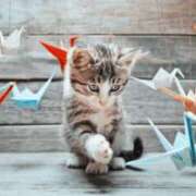 ヒメ日記 2025/06/04 14:24 投稿 ゆうみ 濃厚即19妻