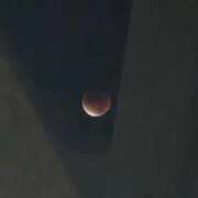 ヒメ日記 2025/09/11 22:28 投稿 ゆうみ 濃厚即19妻