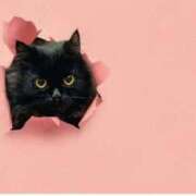 ヒメ日記 2025/10/03 13:39 投稿 ゆうみ 濃厚即19妻