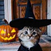 ヒメ日記 2025/10/29 21:08 投稿 ゆうみ 濃厚即19妻