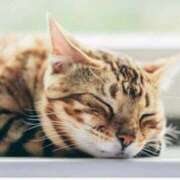 ヒメ日記 2025/10/29 22:27 投稿 ゆうみ 濃厚即19妻